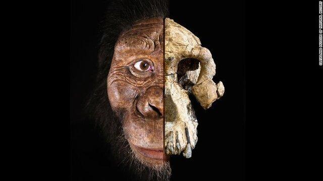 رونمایی از چهره قدیمی ترین انسان های اولیه