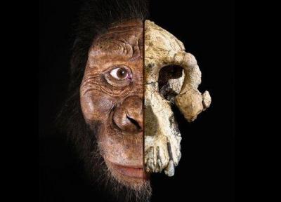 رونمایی از چهره قدیمی ترین انسان های اولیه