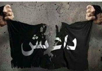 بازداشت مسئول رسانه ای داعش در کربلا بازداشت مسئول رسانه ای داعش در کربلا