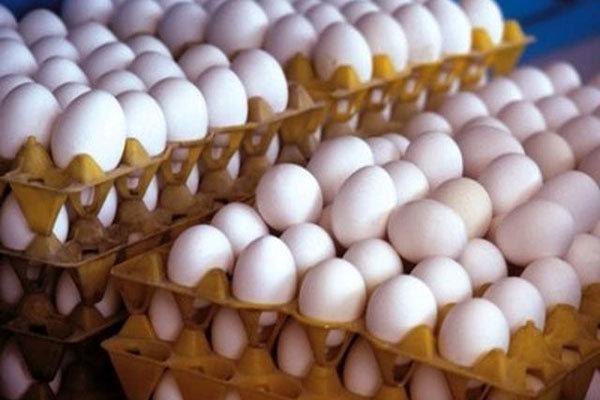 کشف 22 تن تخم مرغ قاچاق در هرمزگان