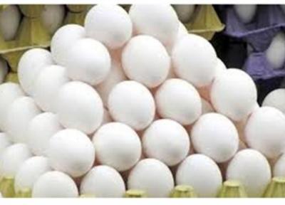 توقف الزام نگهداری و عرضه تخم مرغ بسته بندی در شرایط یخچالی