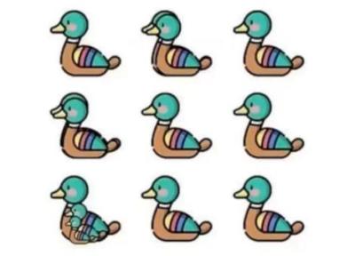معمای بینایی؛ آیا می توانید تعداد اردک ها را حدس بزنید؟